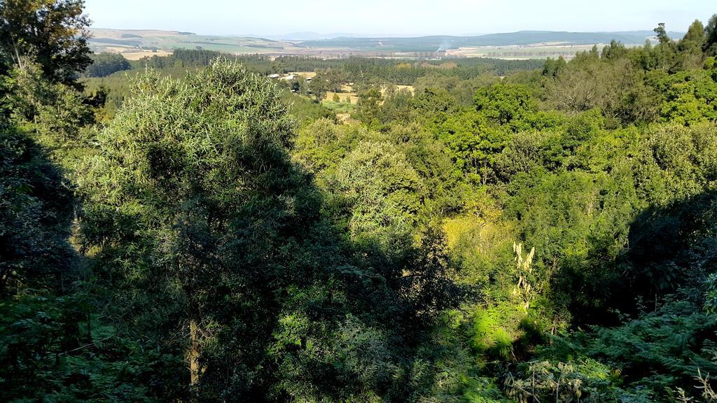 Evergreen Cabin Karkloof Villa Karkloof Nature Reserve Exterior photo